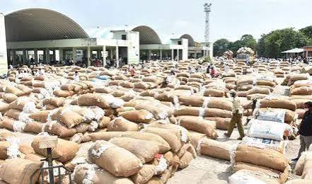 పెరిగిన పత్తి, మక్కల ధరలు